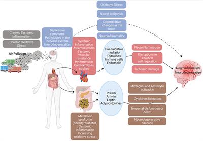 Air Pollution: A Neglected Risk Factor for Dementia in Latin America and the Caribbean